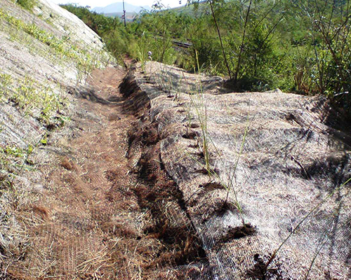 Canaleta verde com vegetação