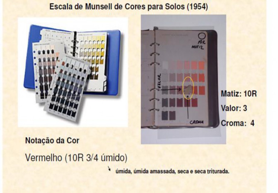 Carta de cores de Munsell para descrição de solos