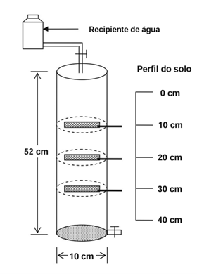 Esquema de dispositivo de coluna drenante biodegradável