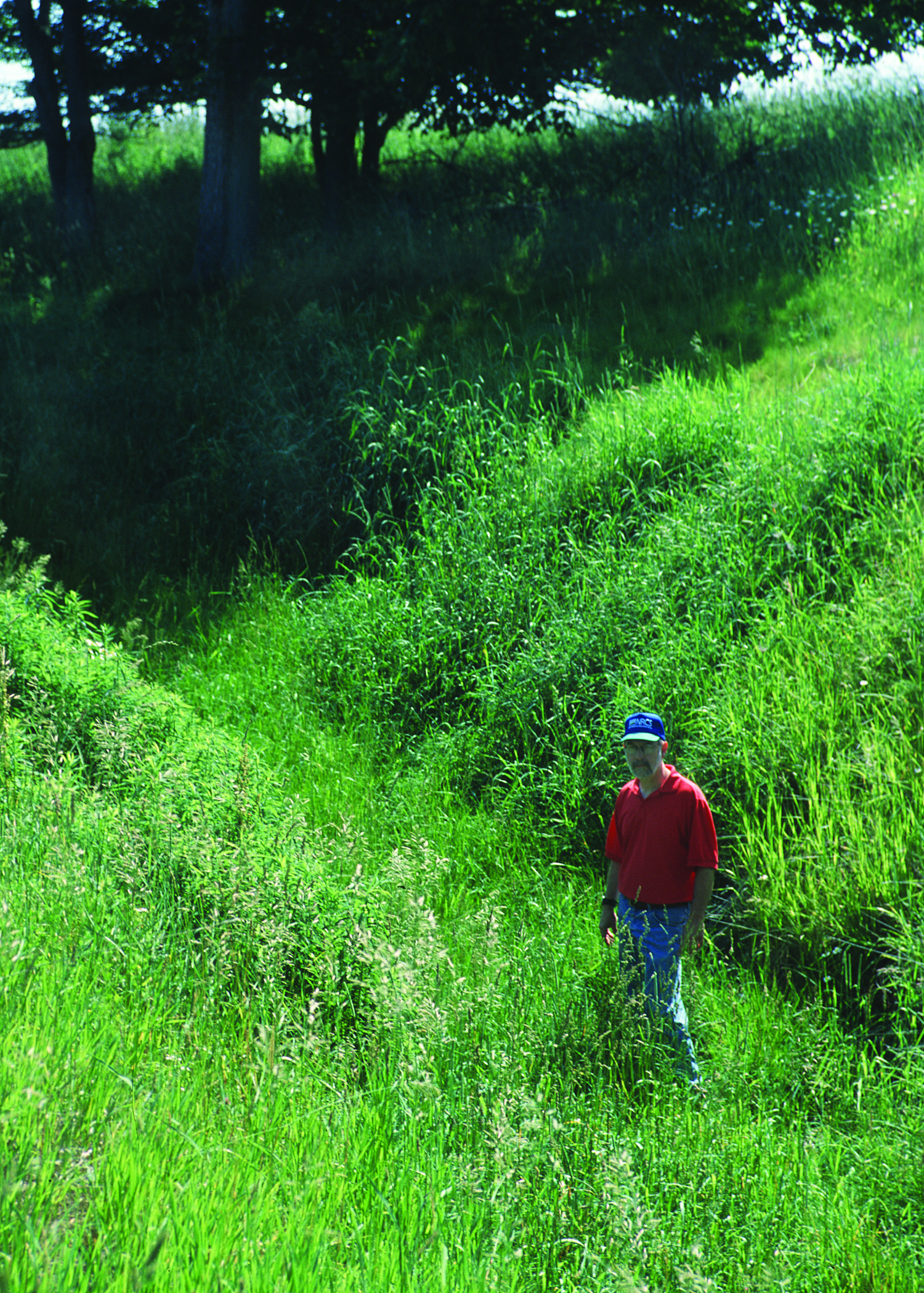 Biomanta instalada em talude