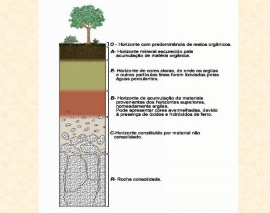 Esquema dos horizontes do solo