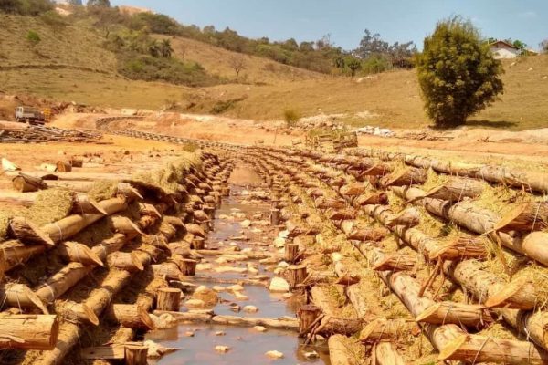 Parede Krainer dupla