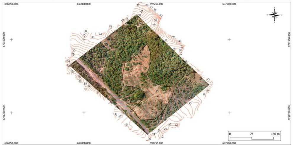 Ravina ativa em campo