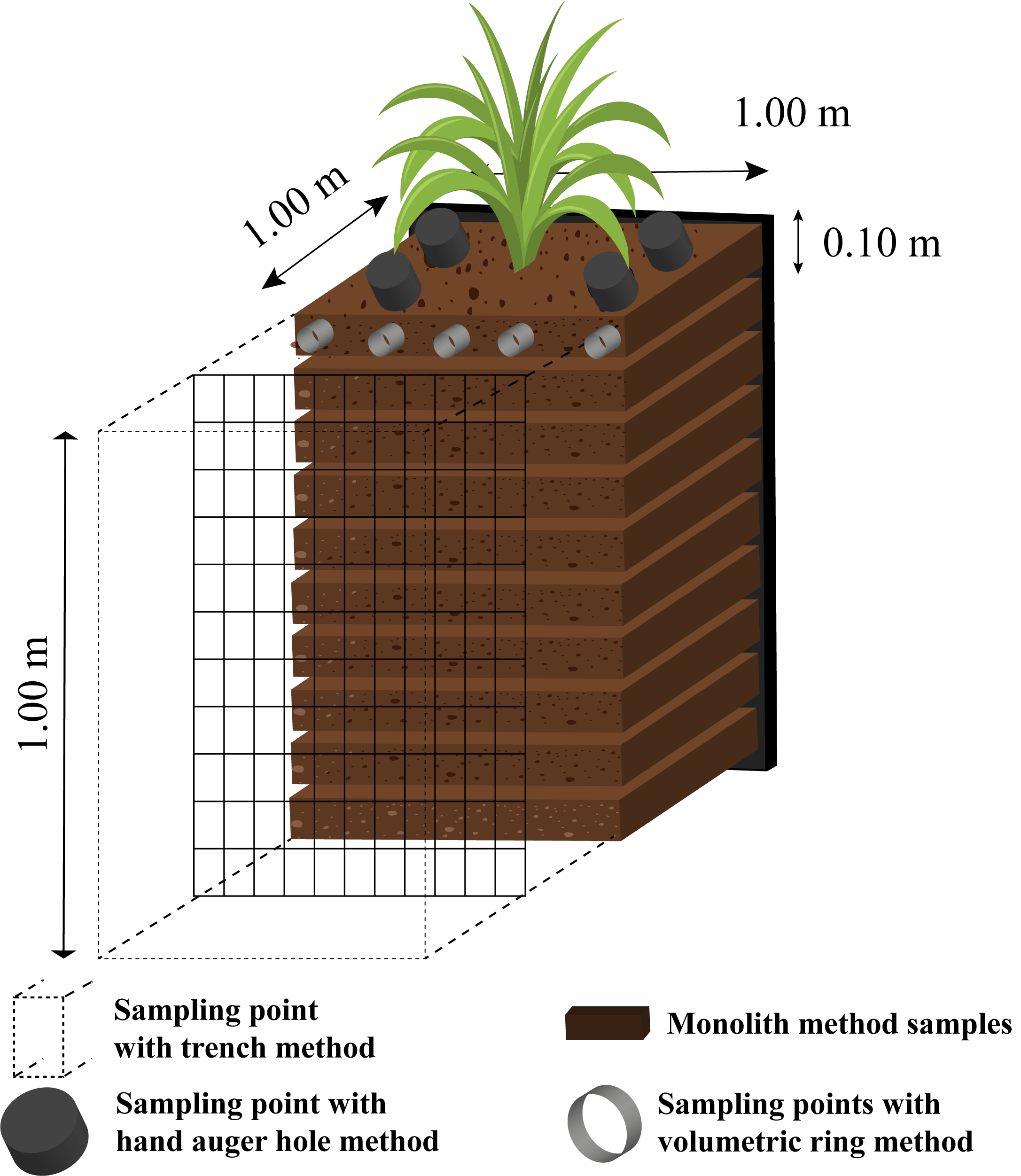 Análise de raízes de vetiver