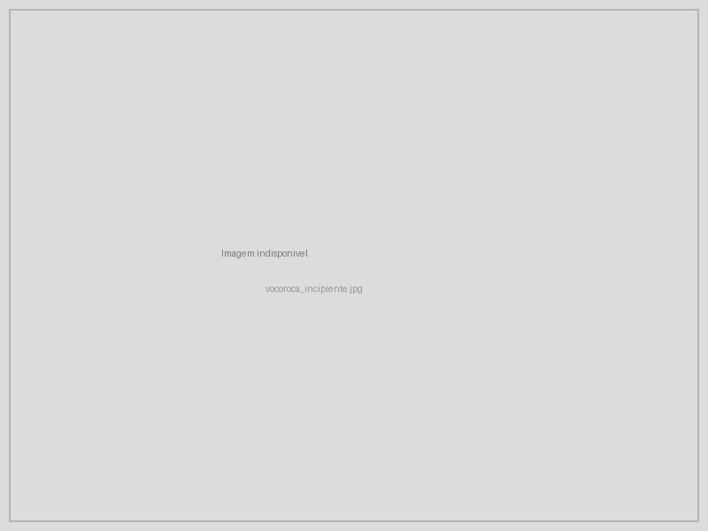 Voçoroca em estágio incipiente de formação em solo tropical