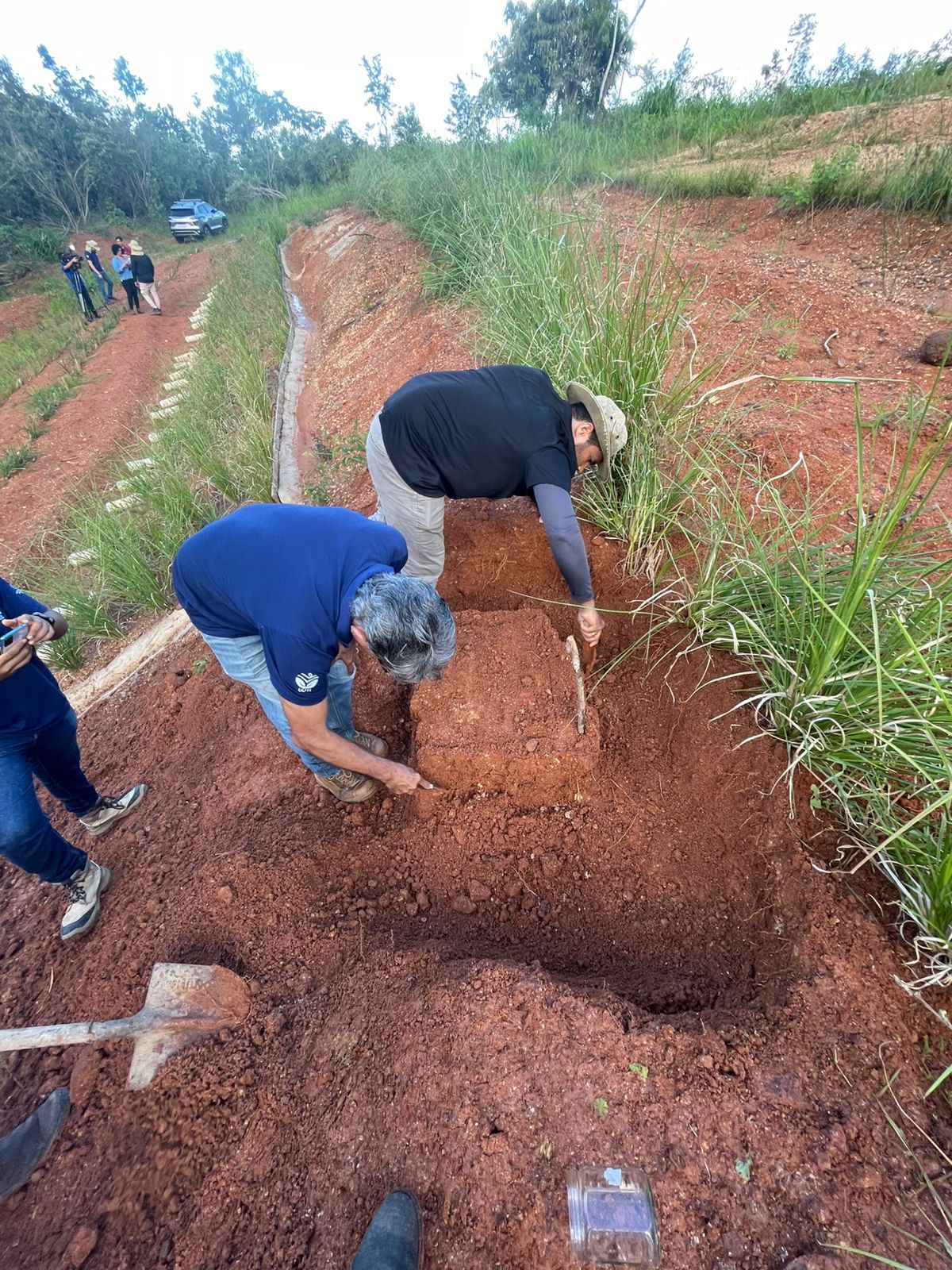 Cisalhamento do solo em talude de Plintossolo