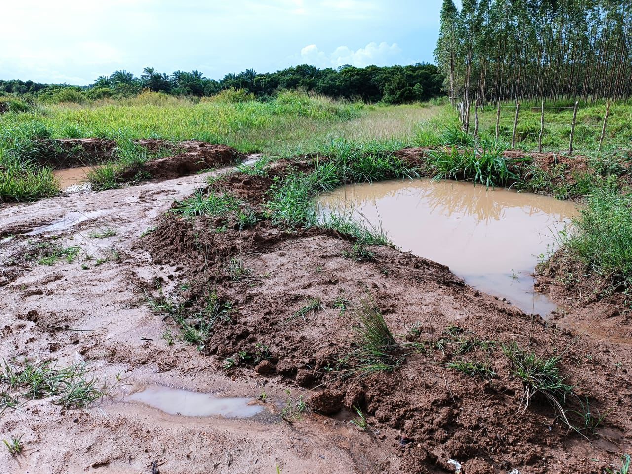 Bacia cheia após chuva