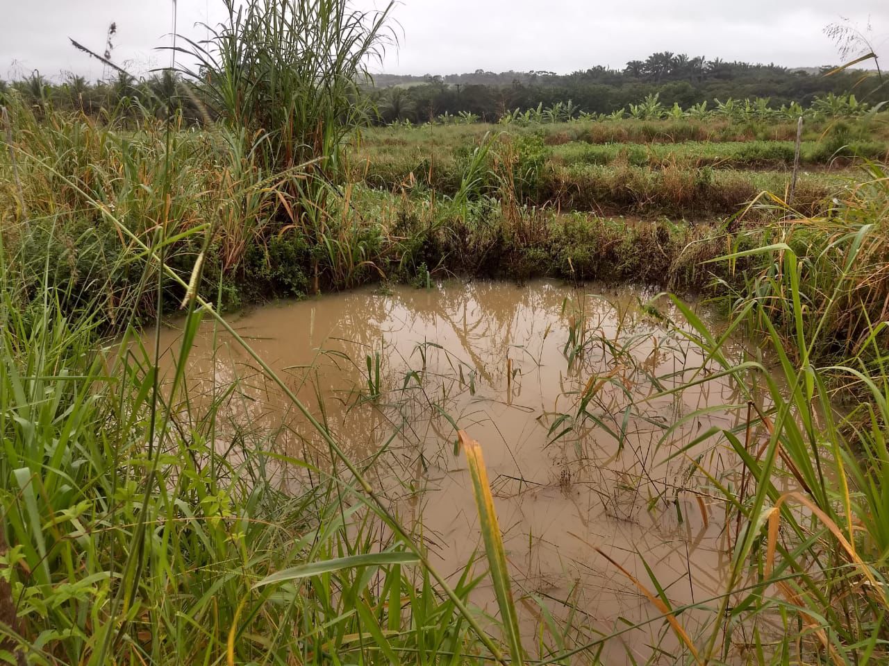 Bacia de captação retendo água de escoamento