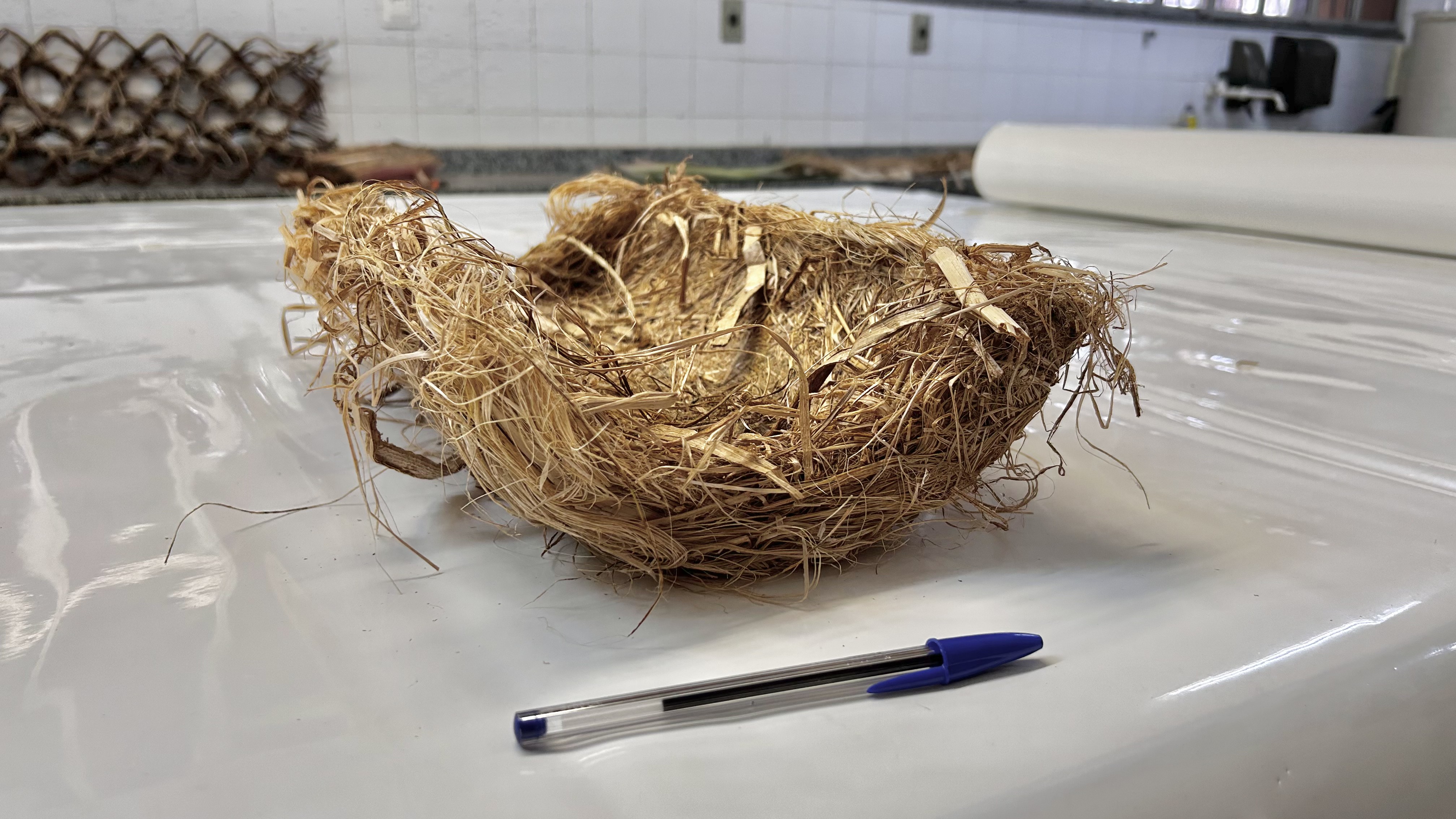 Geodreno vegetal biodegradável para estabilização de encostas