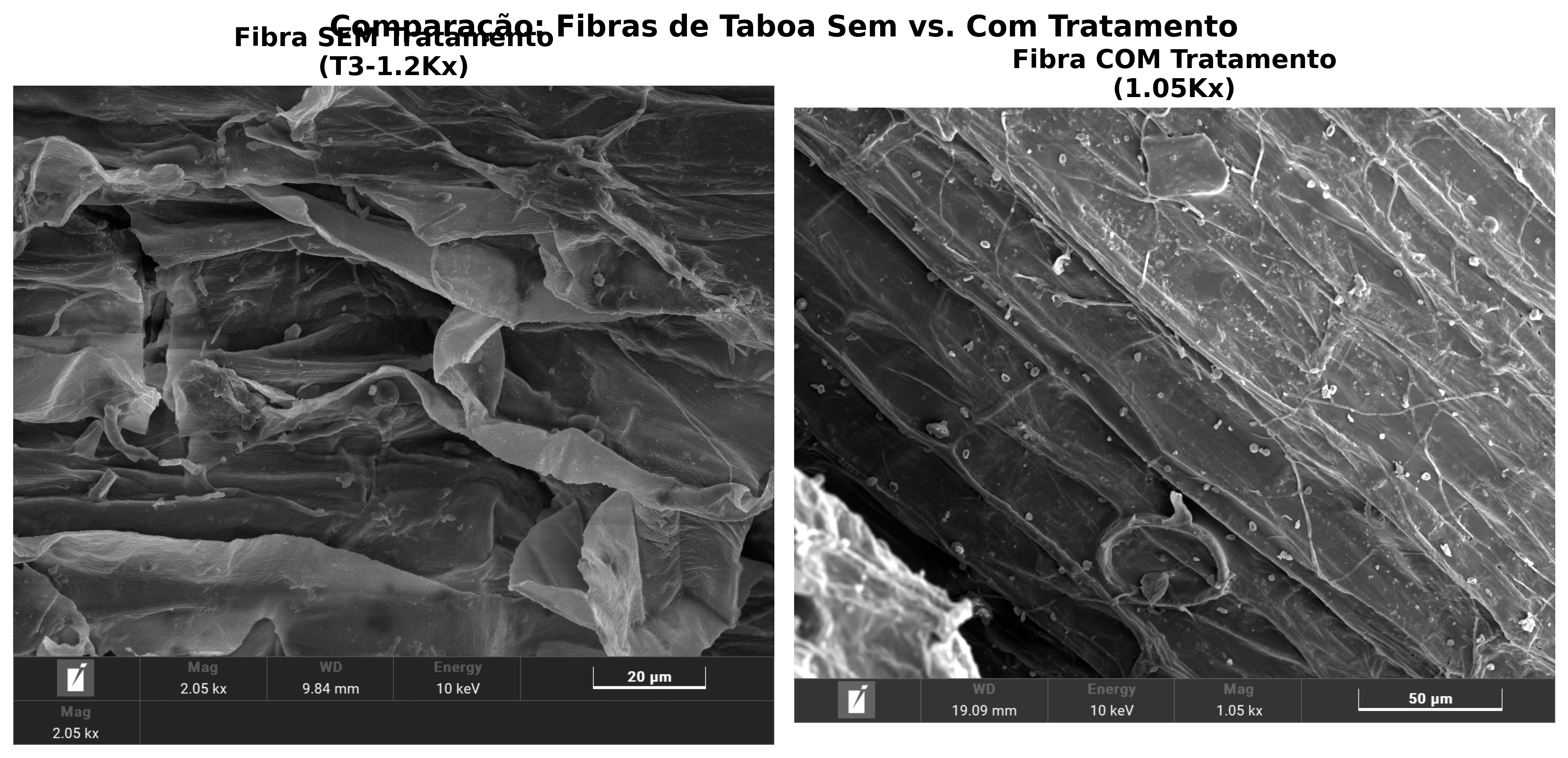 Imagens de MEV comparando fibras de taboa