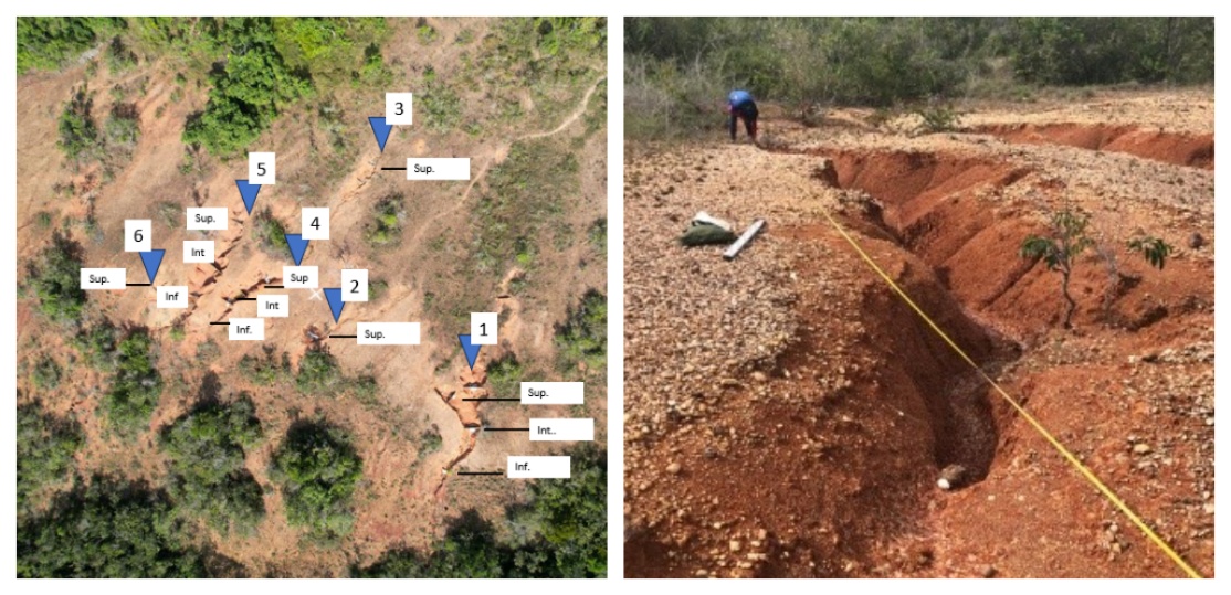 Ravina ativa em Plintossolo