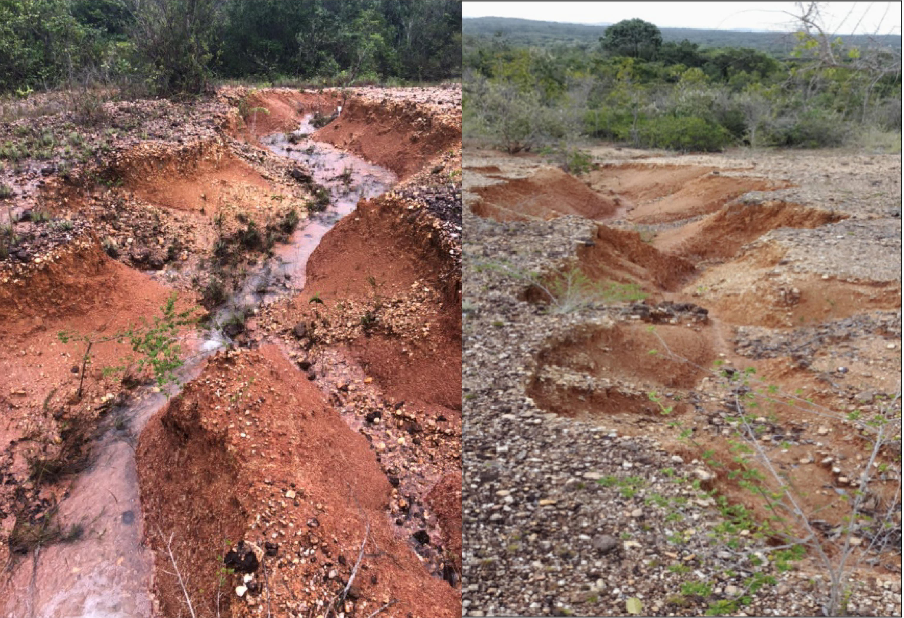 Mapa da área de estudo mostrando localização das ravinas em tabuleiros costeiros