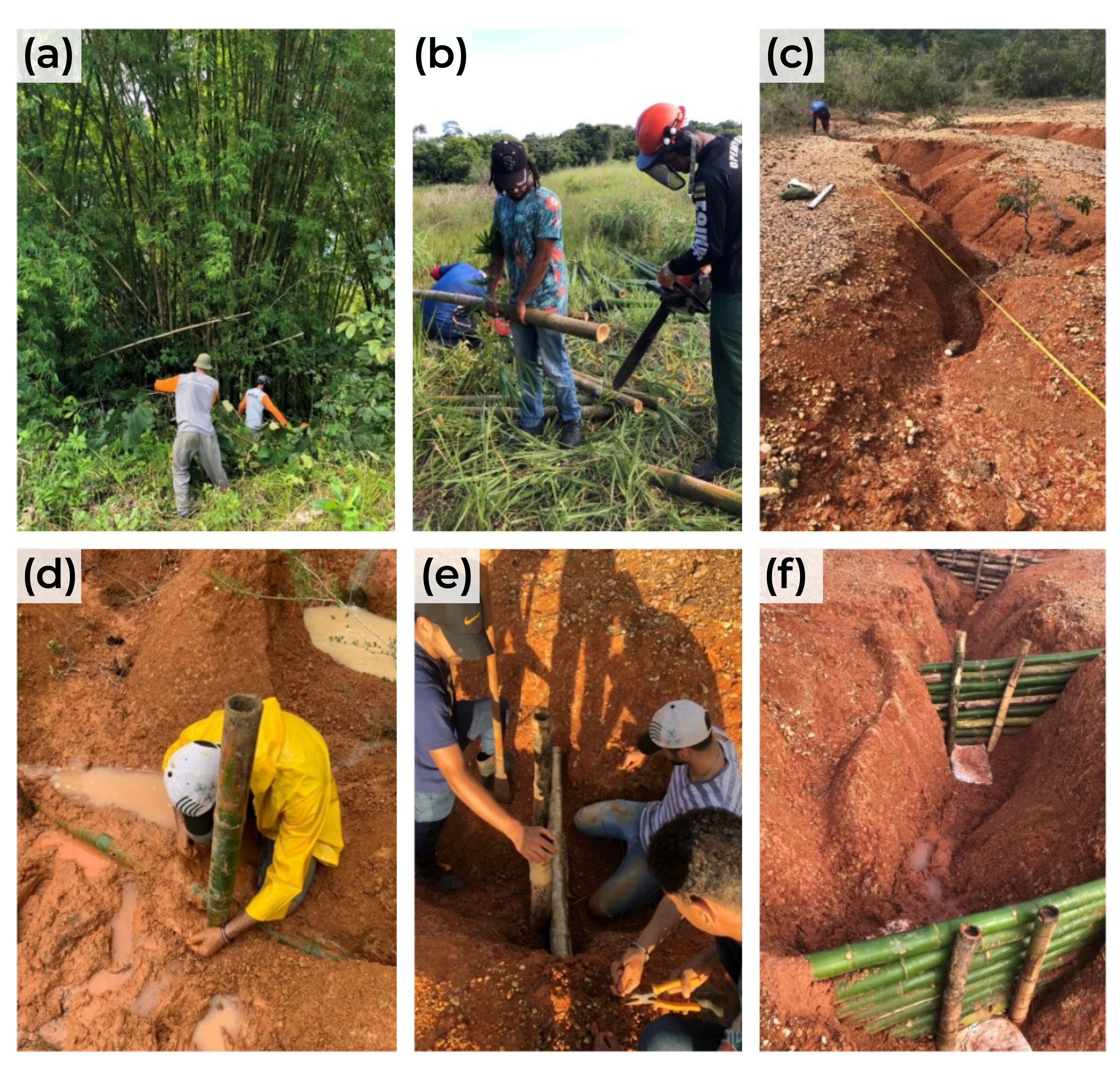 Etapas de instalação das paliçadas de bambu na ravina