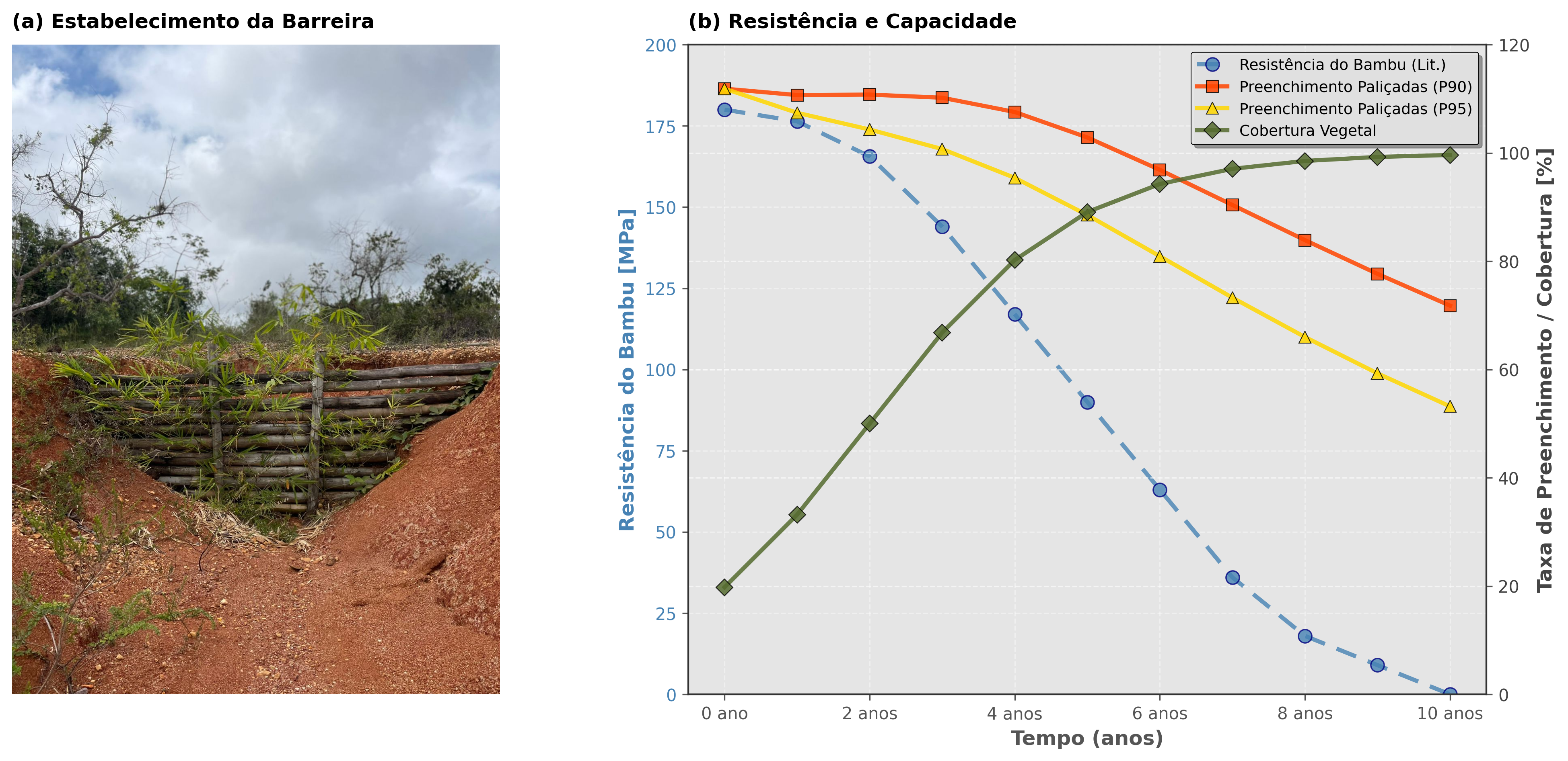 Painel de resultados integrados do monitoramento de paliçadas de bambu