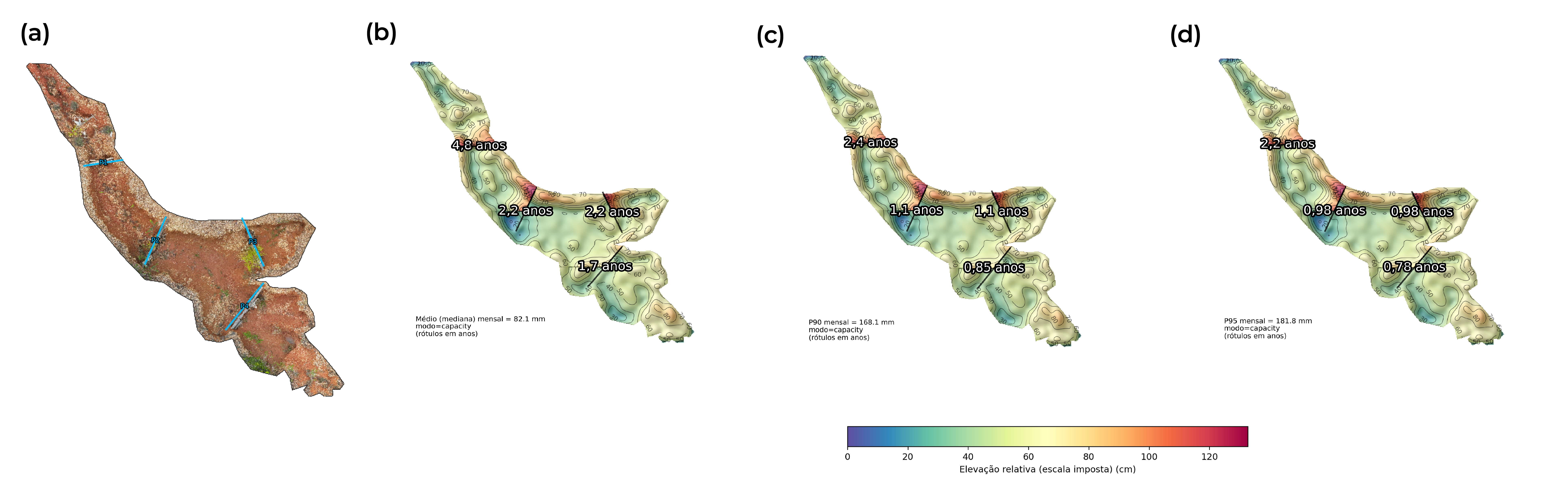 Simulação temporal da capacidade de retenção sedimentar das paliçadas