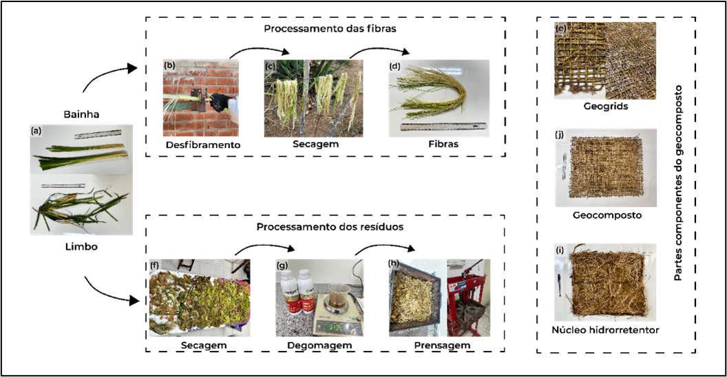 Etapas de fabricação dos geocompostos híbridos Typha-rami com Bio-SAP