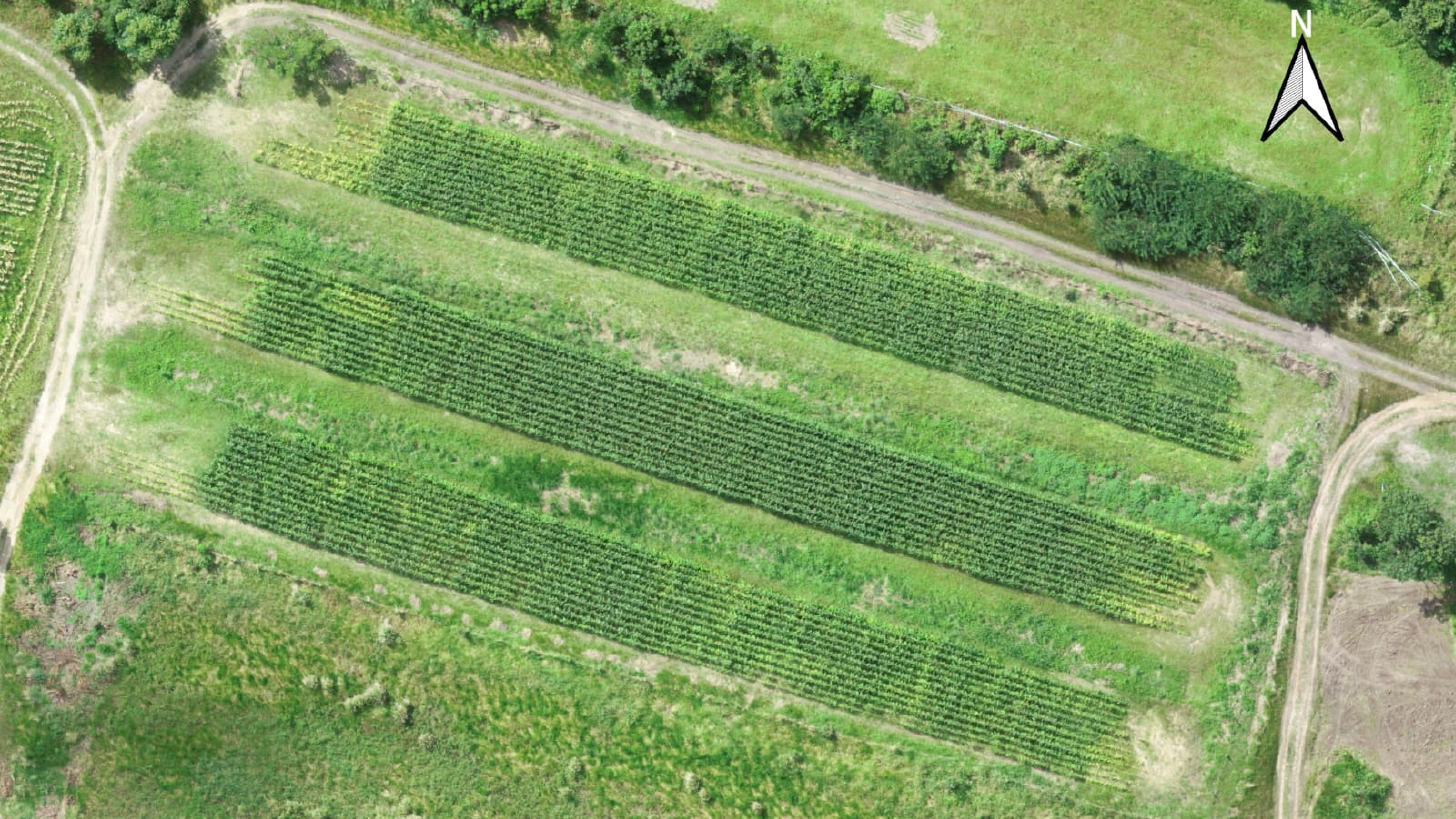 Área experimental do ensaio de longa duração na UFS
