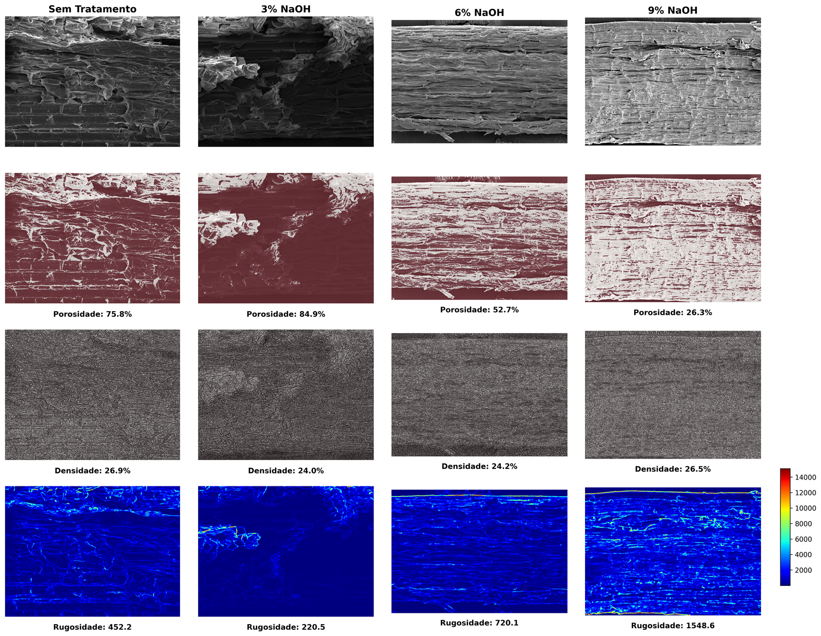Painel de microscopia eletrônica das fibras